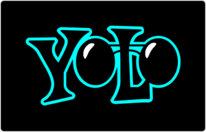 Yolo-V8